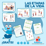 Las Etapas De La Vida Er Grado Material De Aprendizaje