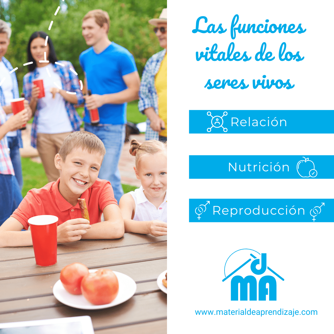 Las funciones vitales (1)