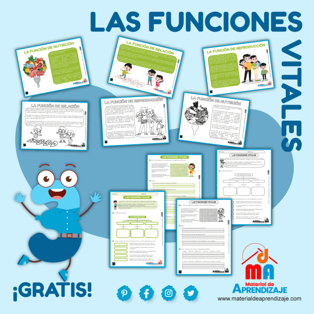 Las funciones vitales 3ro post