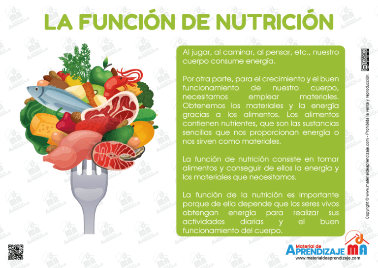 Las Funciones Vitales 3er Grado Material De Aprendizaje 6464