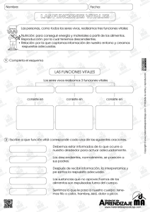 Las Funciones Vitales Er Grado Material De Aprendizaje