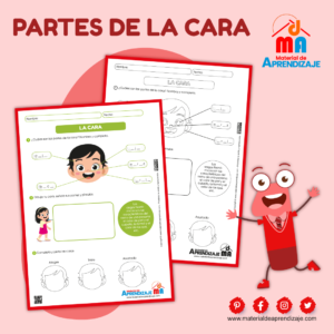 Las partes de la cara – 1er grado de primaria