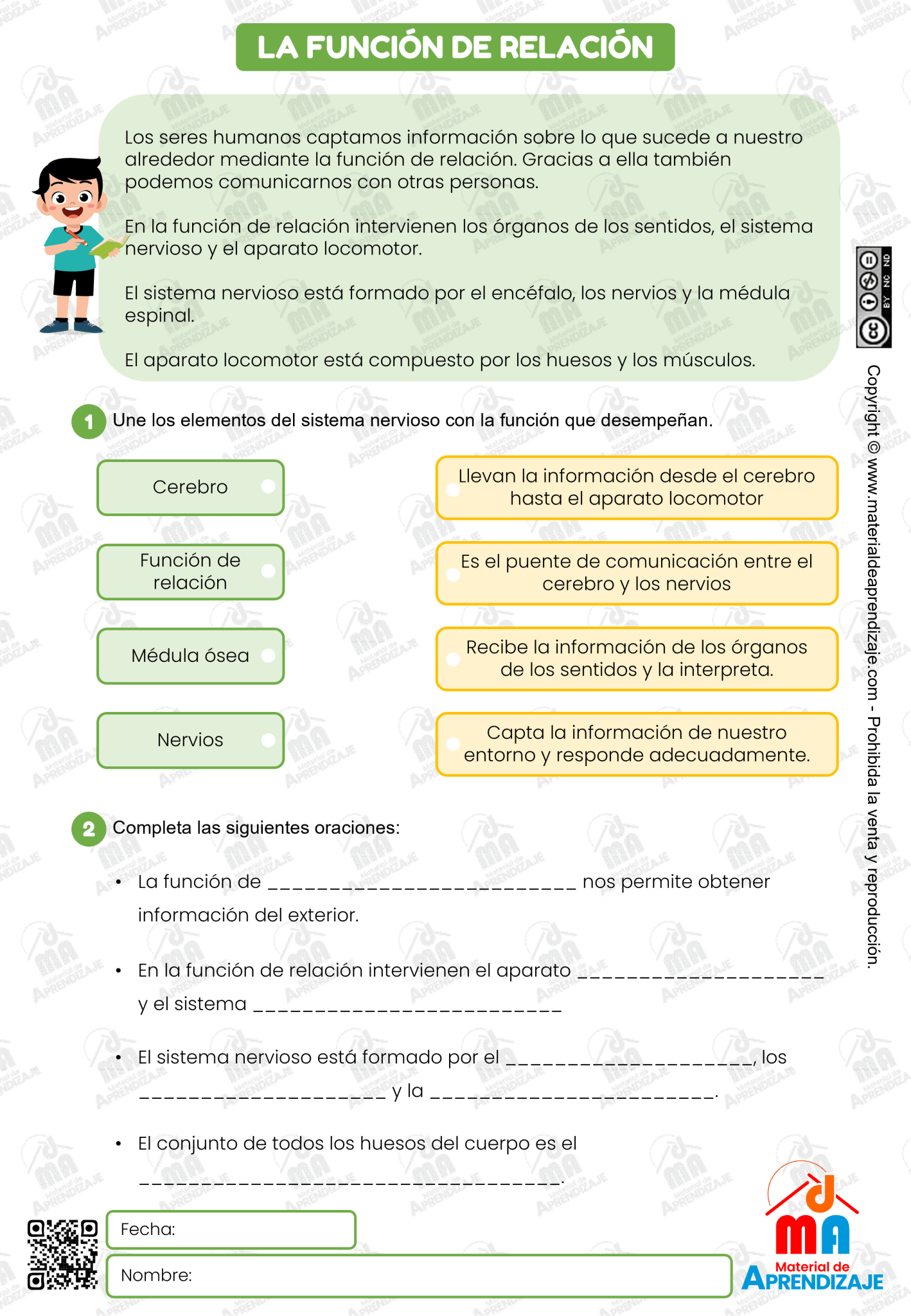 La Función De Relación 4to Grado De Primaria Material De Aprendizaje 9793