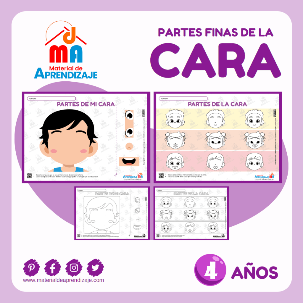 Las Partes De La Cara: Ficha Imprimible Para Niños De 4 Años : Material ...