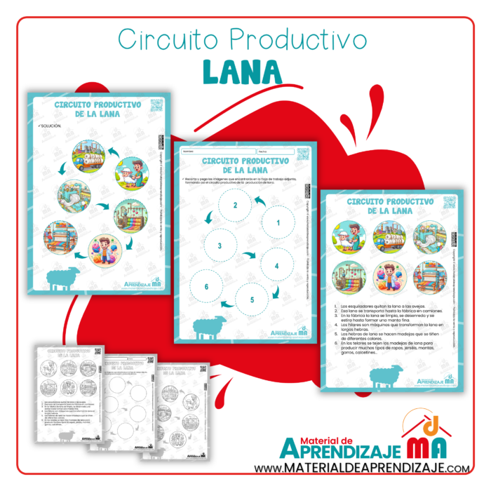 Circuito productivo de la lana (Editable)