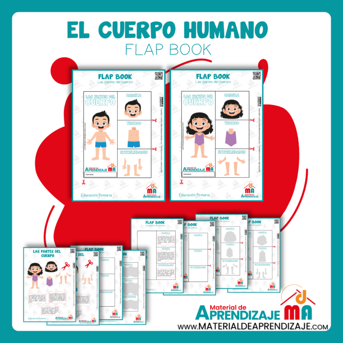 Flap Book - Las partes del cuerpo (PDF)