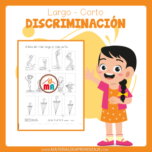 Conceptos de «Largo – Corto» para Primer Grado de Primaria 📚✂️