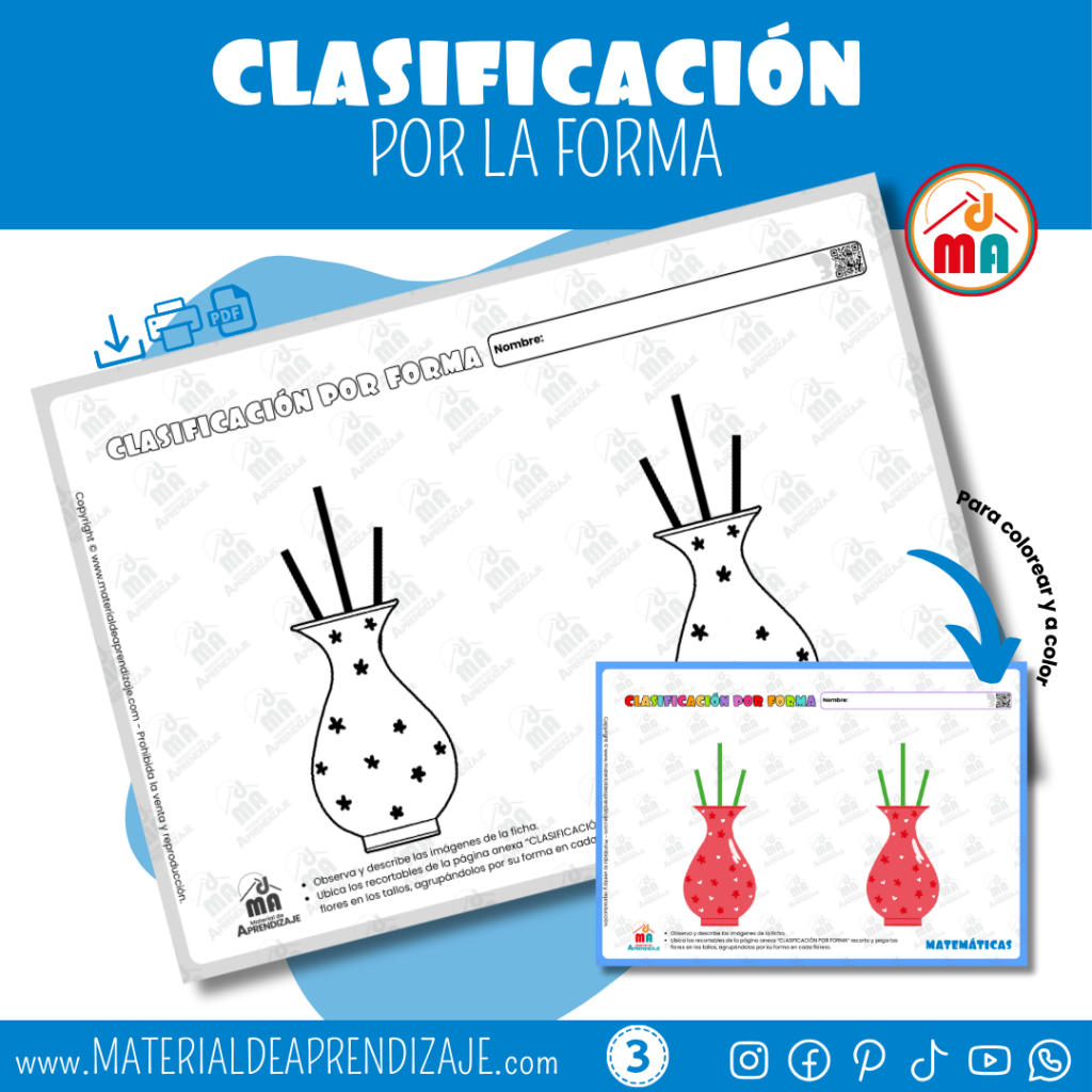 Clasificación por forma