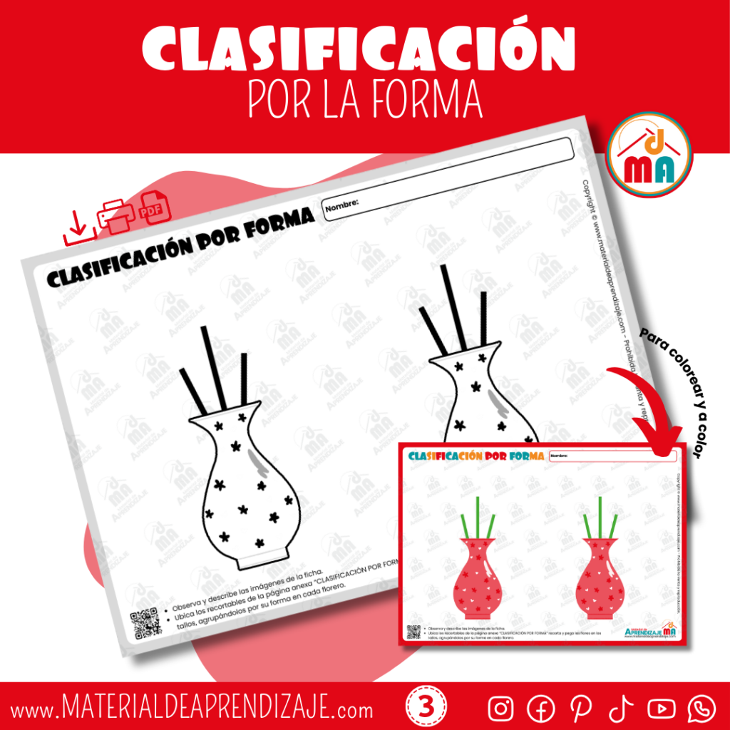 Clasificación por forma