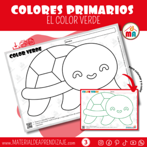 🎨 Explorando el Color Verde 🐢- Preescolar 3 años