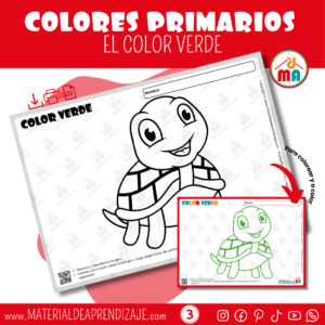 🎨 Explorando el Color Verde 🐢- Preescolar 3 años