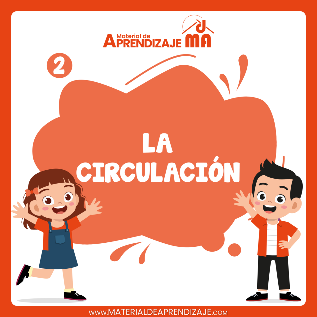 La circulación 2do