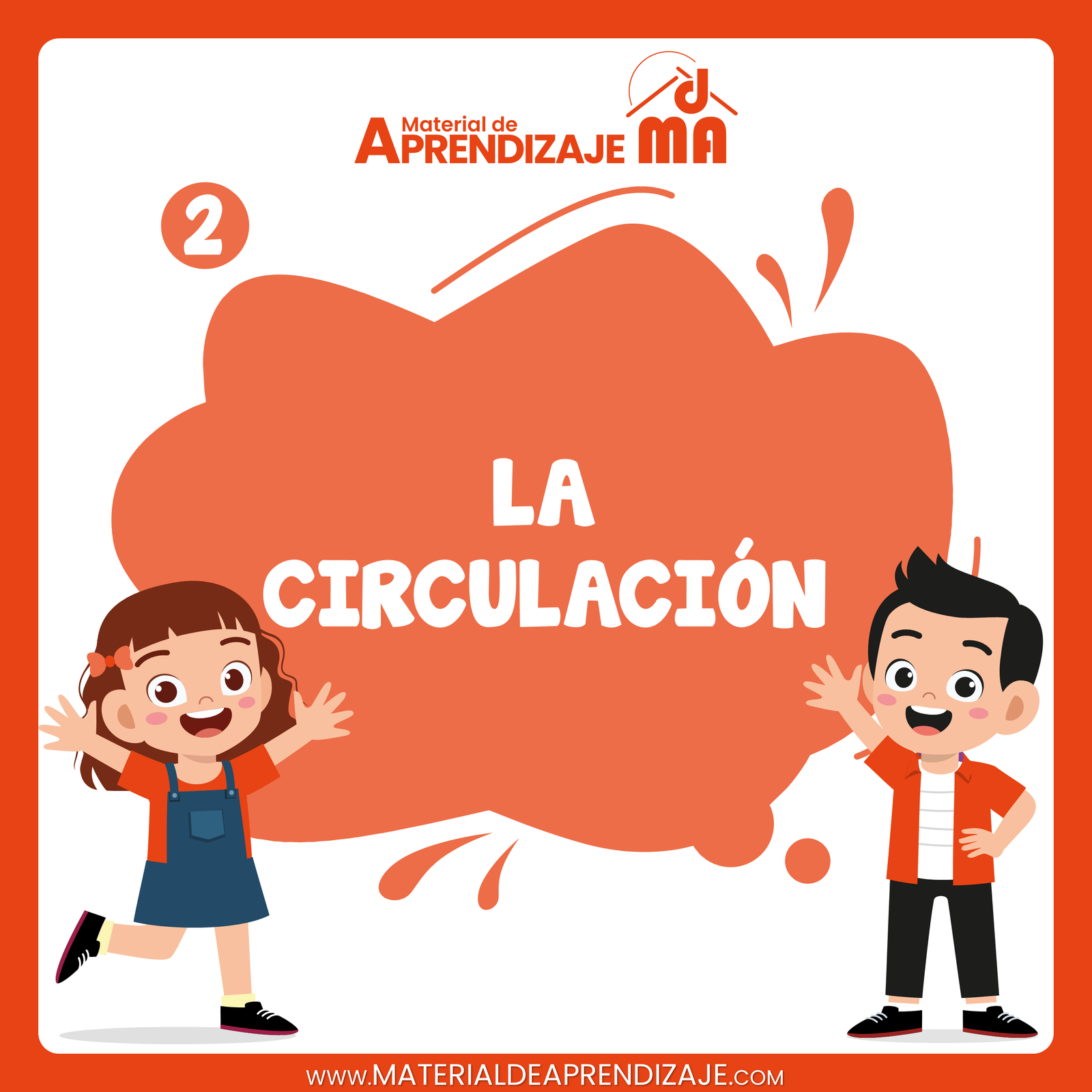 La circulación 2do