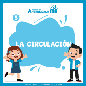 El sistema circulatorio – 5to grado de primaria