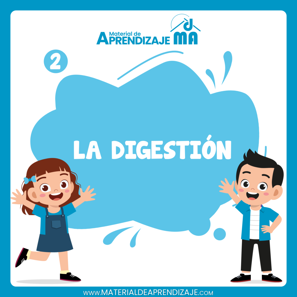 La digestion 2do