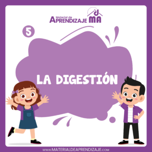 El sistema digestivo – 5to grado de primaria