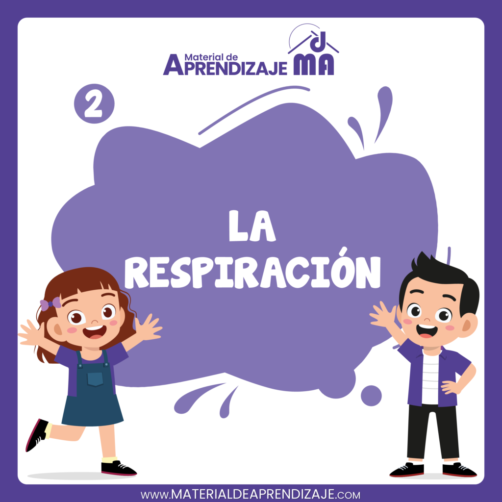 La respiración 2