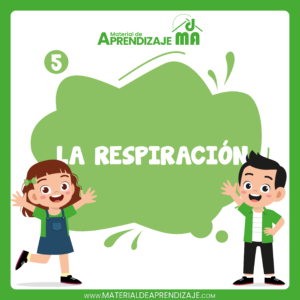 El sistema respiratorio – 5to grado de primaira