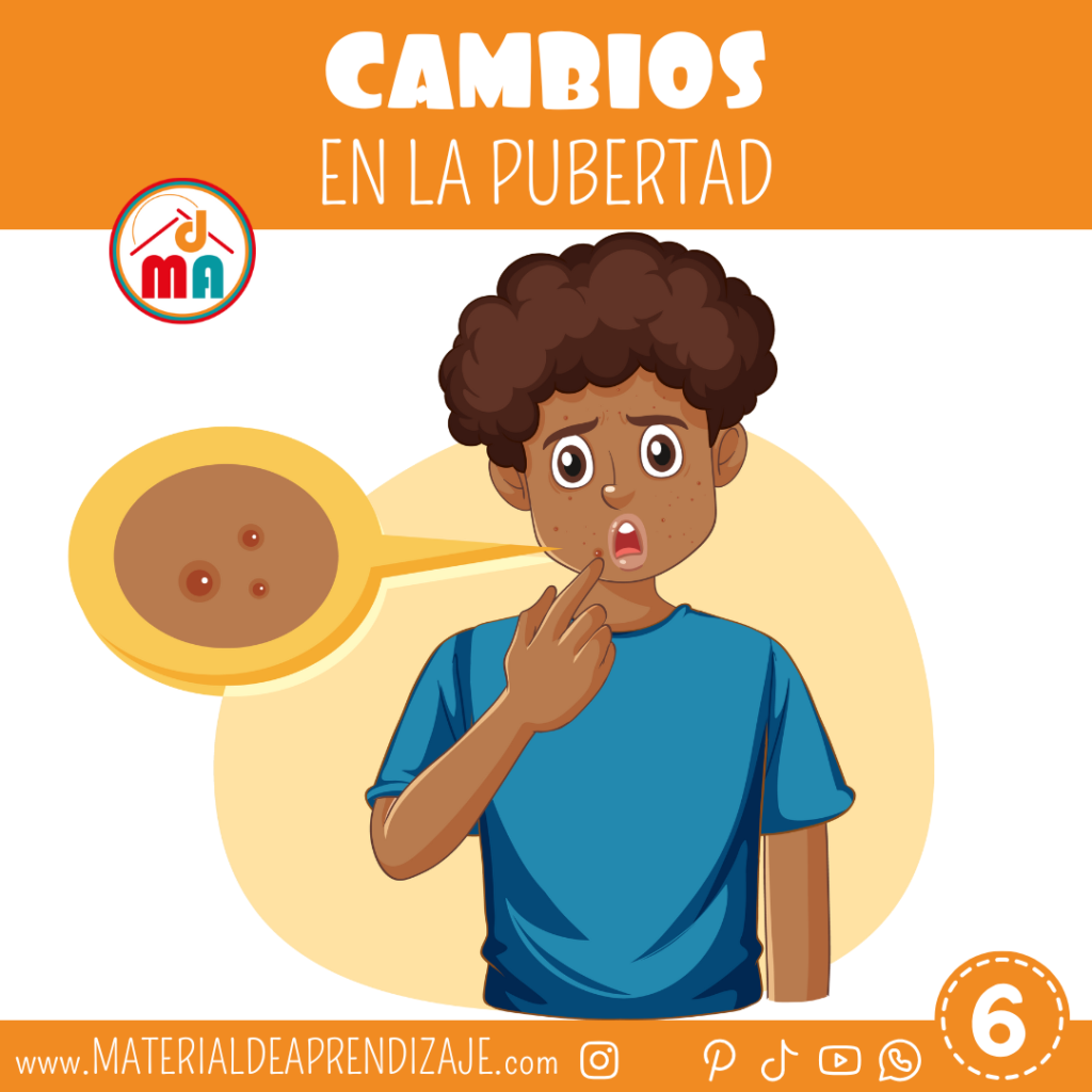 Los cambios en la pubertad