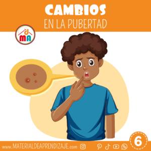 Cambios en la pubertad: Físicos, psicológicos y sociales – 6to grado de primaria