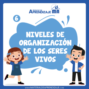 Los niveles de organización de los seres vivos: desde las células hasta los organismos – 6to grado de primaria