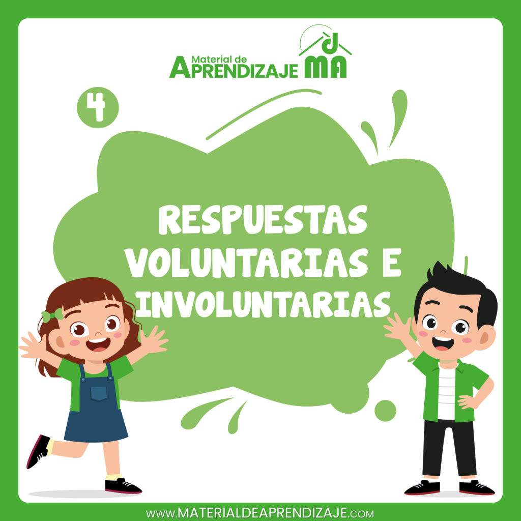 Respuestas voluntarias e involuntarias