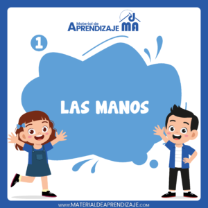 Las manos – 1er grado de primaria