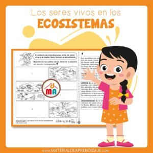 🌿Los seres vivos en los ecosistemas – 5to de primaria🐦