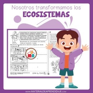 🌍Nosotros transformamos los ecosistemas – 5to de primaria🏙️