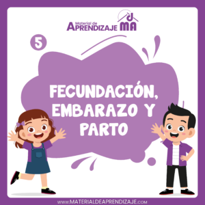 Fecundación, embarazo y parto – 5to de primaria🤰🌿