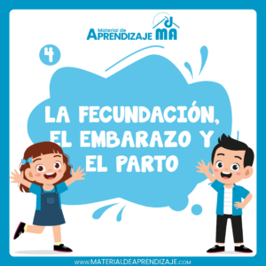 👶La fecundación, el embarazo y el parto – 4to de primaria🌱