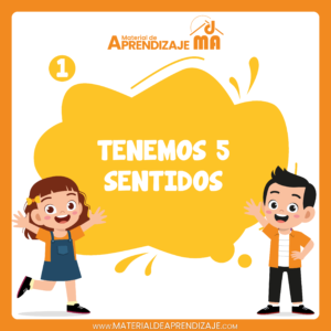 👃👅✋Tenemos 5 sentidos – 1ro de primaria👀👂